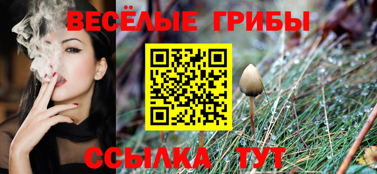 Псилоцибиновые грибы GOLDEN TEACHER  Вход с VPN  Шелехов 
