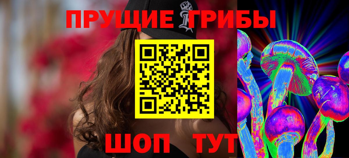 Галлюциногенные грибы Cubensis Шелехов